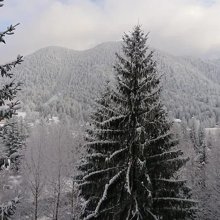 2706 Alpin Resort, Etaj 7, ホテル