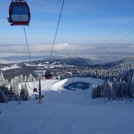 2706 Alpin Resort, Etaj 7, ポイアナ・ブラショフ